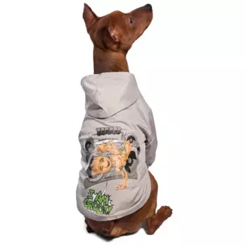 Disney Дождевик-попона Marvel Грут, размер XS