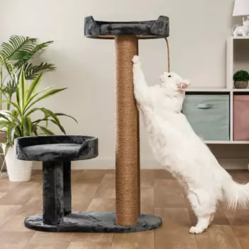 Домоседы Когтеточка Дзета (60х35х89 см) с двумя столбиками и лежанками для кошек, серая