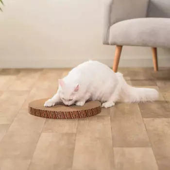 Домоседы Когтеточка-лежанка Пень сосновый (40,5х4 см) круглая из гофрокартона для кошек