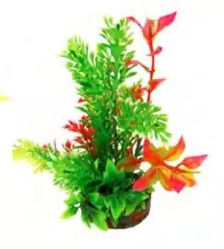 Fauna Растение для аквариума Композиция №34 22см