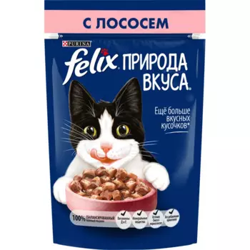 Felix Влажный корм Природа вкуса для взрослых кошек, с лососем в соусе, 85 г