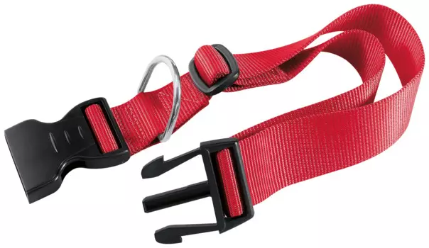 Ferplast CLUB Ошейник для собак мелких пород красный 25х1 см