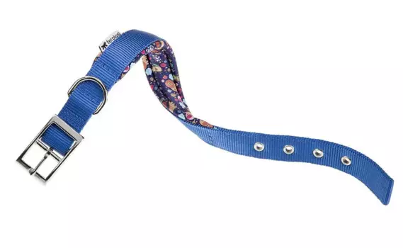 Ferplast Ошейник для собак Daytona Fantasy, обхват шеи 35-43 см, ширина 2 см, синий