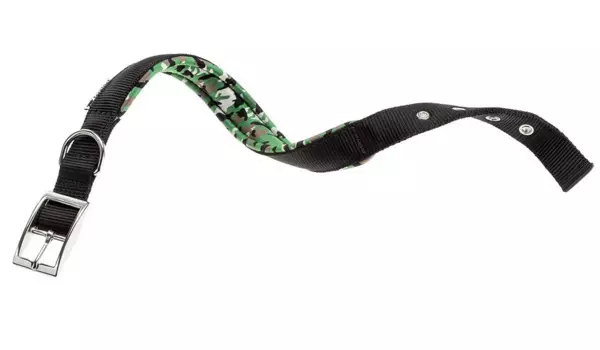 Ferplast Ошейник для собак Daytona Fantasy, обхват шеи 45-53 см, ширина 2,5 см, черный