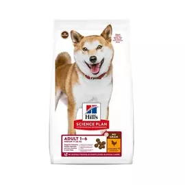 Hill's Science Plan беззерновой cухой корм для собак с курицей и картошкой, 2,5 кг