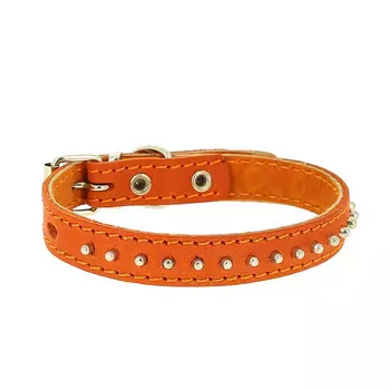 Каскад Ошейник кожаный для собак, обхват шеи 27-35 см, ширина 2 см, цвет в ассортименте
