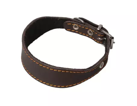 Каскад Ошейник кожаный для собак, обхват шеи 25-33 см, ширина 3 см, цвет в ассортименте