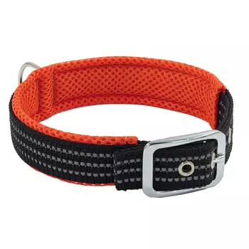 Каскад Ошейник нейлоновый с мягкой подкладкой для собак, обхват шеи 27-35 см, 20 мм, оранжевый