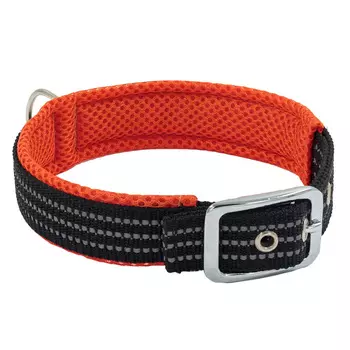 Каскад Ошейник нейлоновый с мягкой подкладкой для собак, обхват шеи 39-45 см, 25 мм, оранжевый