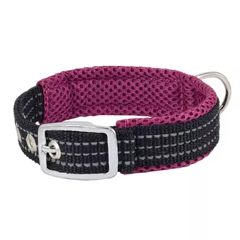 Каскад Ошейник нейлоновый с мягкой подкладкой для собак, обхват шеи 27-35 см, 20 мм, фиолетовый
