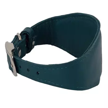 Каскад Ошейник с расширением из овечьей кожи для собак, обхват шеи 23-27 см, зеленый
