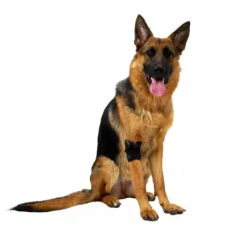 Kruuse Rehab протектор на локтевой сустав XS