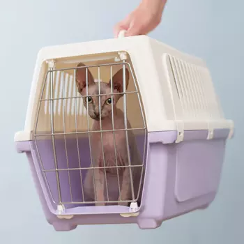 MP Bergamo Переноска для кошек и собак Визион, 48x32x33 см, лиловый
