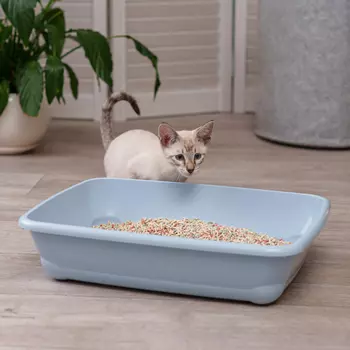 MP Bergamo Туалет средний для кошек, 45х35х10 см, голубой