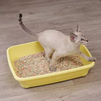 MP Bergamo Туалет средний для кошек, 45х35х10 см, желтый