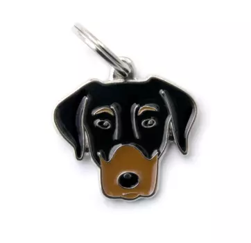 My family My Family Colors Доберман адресник цветной средний