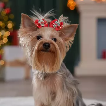 Petmax Бантик новогодний с карамелью для кошек и собак, 2 шт., 4,5х3,5 см