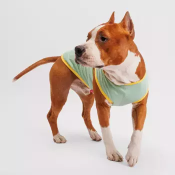 Petmax Борцовка зеленая 4XL