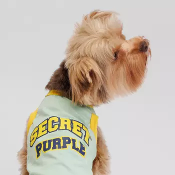 Petmax Борцовка зеленая XS