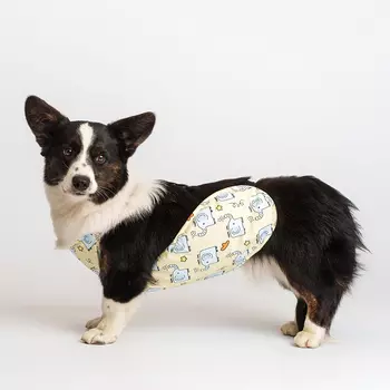 Petmax Дождевик-фартук для собак, XL, желтый (мальчик)