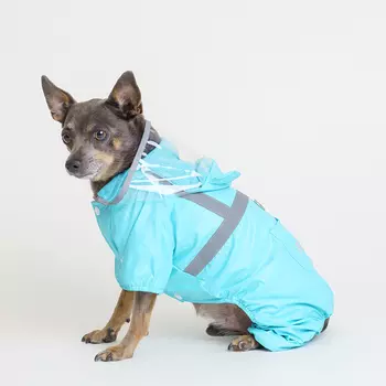 Petmax Дождевик с капюшоном для собак, L, голубой