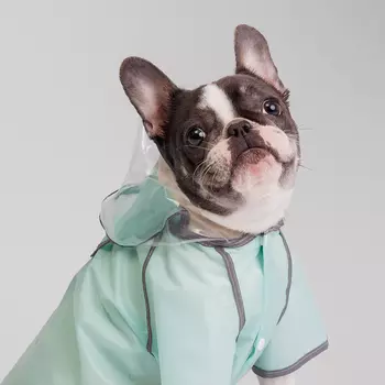 Petmax Дождевик с капюшоном французский бульдог зеленый 3XL