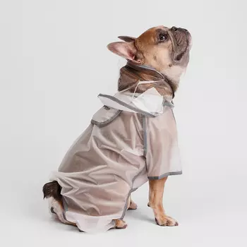 Petmax Дождевик с ножками французский бульдог прозрачный 3XL