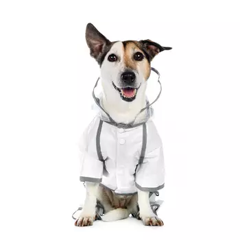 Petmax Дождевик с ножками прозрачный S