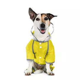 Petmax Дождевик с ножками желтый M