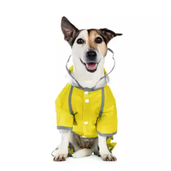 Petmax Дождевик с ножками желтый S
