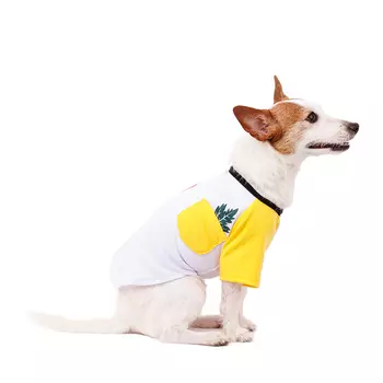 Petmax Футболка белая с жирафом желтым M