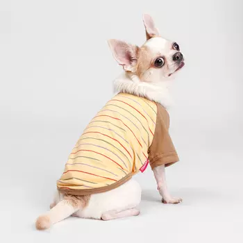 Petmax Футболка для собак и кошек, XS, желтая в полоску