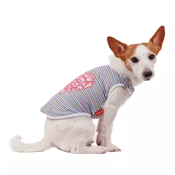 Petmax Футболка для собак L голубой (унисекс)