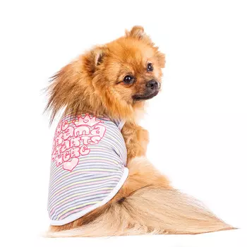 Petmax Футболка для собак S голубой (унисекс)