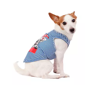 Petmax Футболка для собак с собачкой L голубой (унисекс)