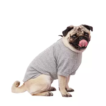 Petmax Футболка для собак серая XL