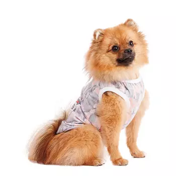 Petmax Футболка для собак, XS, фиолетовая со звездой (унисекс)