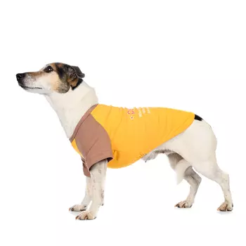 Petmax Футболка для собак, XS, желтая (унисекс)