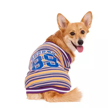 Petmax Футболка фиолетовая полосатая Sports 89 3XL