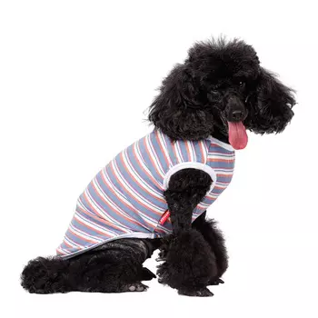 Petmax Футболка фиолетовая в полоску M