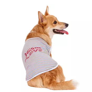 Petmax Футболка голубая Glitter Love 3XL