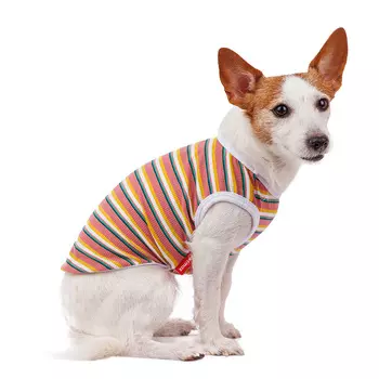 Petmax Футболка розовая в желтую полоску XL