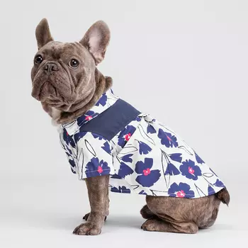 Petmax Футболка с синими цветами для собак и кошек, 2XL