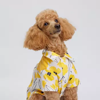 Petmax Футболка с желтыми цветами для собак и кошек, XL