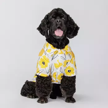 Petmax Футболка с желтыми цветами для собак, 3XL