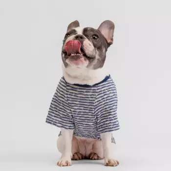 Petmax Футболка синяя в полоску L