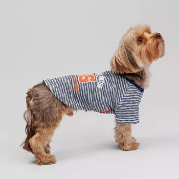 Petmax Футболка синяя в полоску S