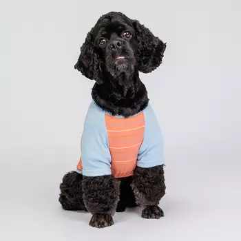 Petmax Футболка в полоску для собак, 3XL, оранжевая