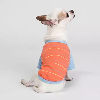 Petmax Футболка в полоску для собак и кошек, M, оранжевая