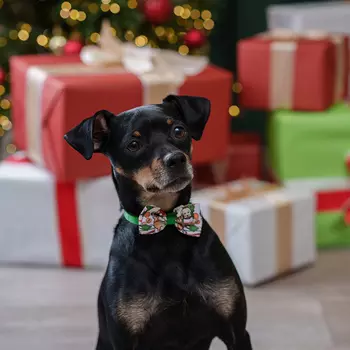 Petmax Галстук-бант новогодний для кошек и собак Собачки, бабочка 7,5х4 см, длина ремешка 20 см